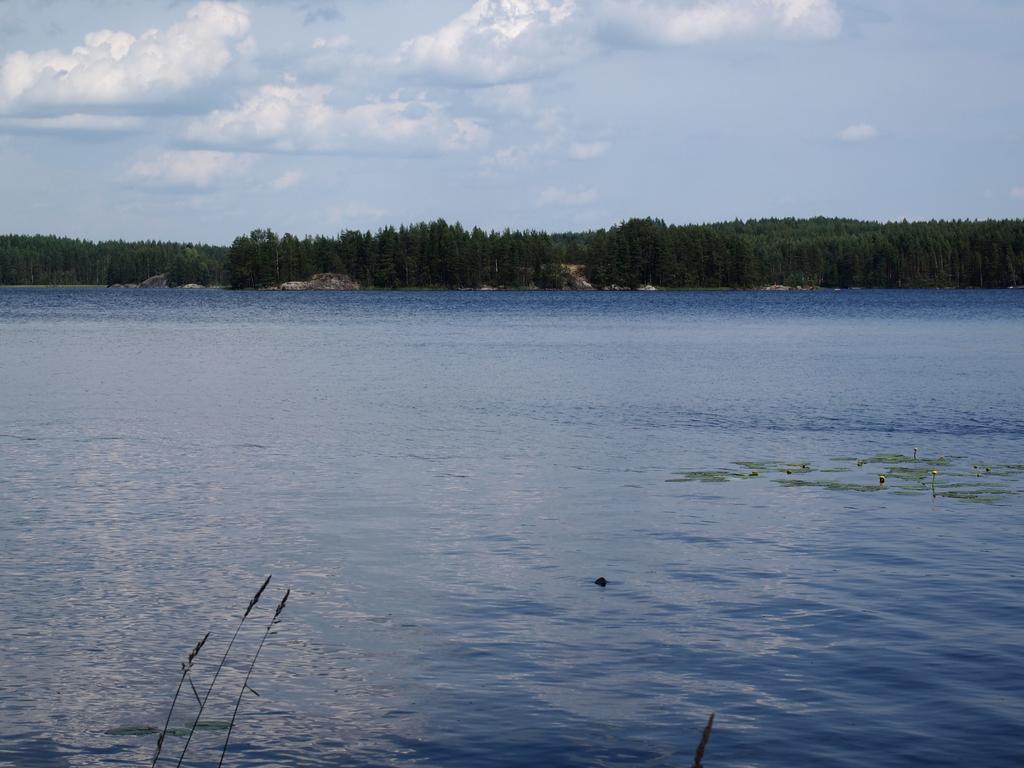 Kuoreksenniemi Villas & Lakehouse Puumala Exteriér fotografie