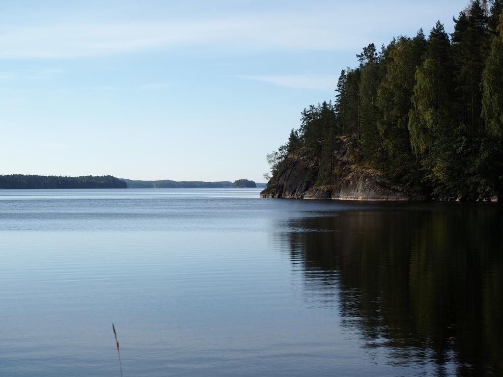 Kuoreksenniemi Villas & Lakehouse Puumala Exteriér fotografie